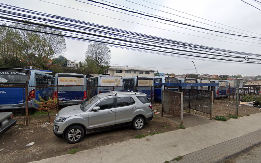 Terminal de Buses 60 Buses Tucapel-2